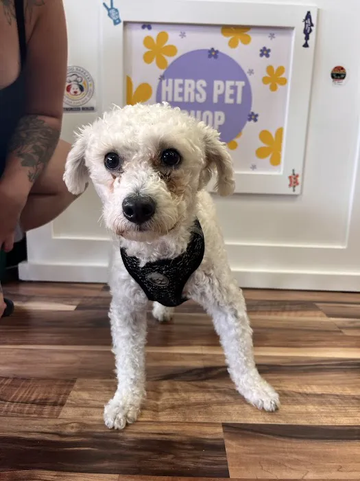 Hers Pet Shop Picture 10