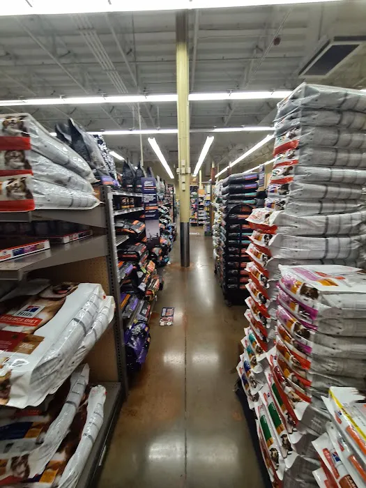 Petco Picture 10