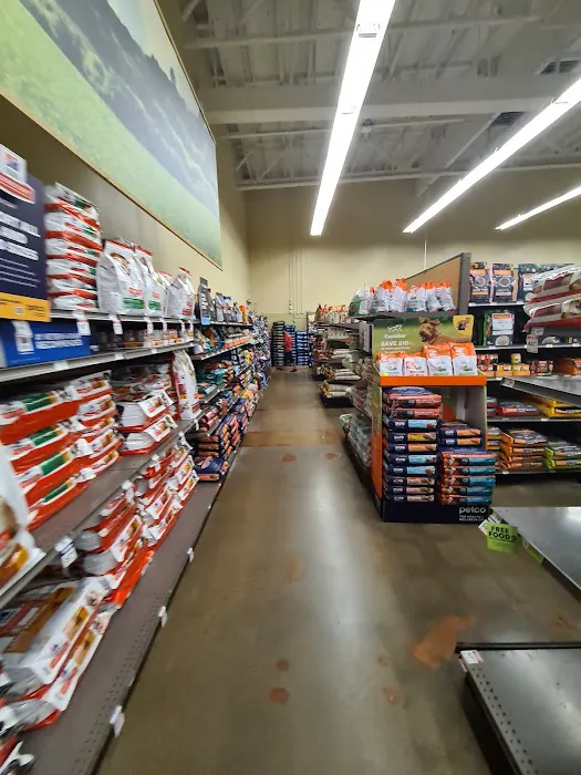 Petco Picture 5
