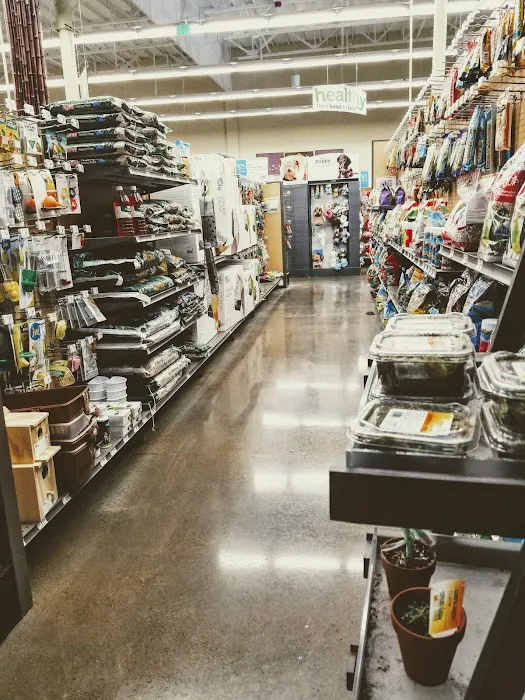 Petco Picture 6