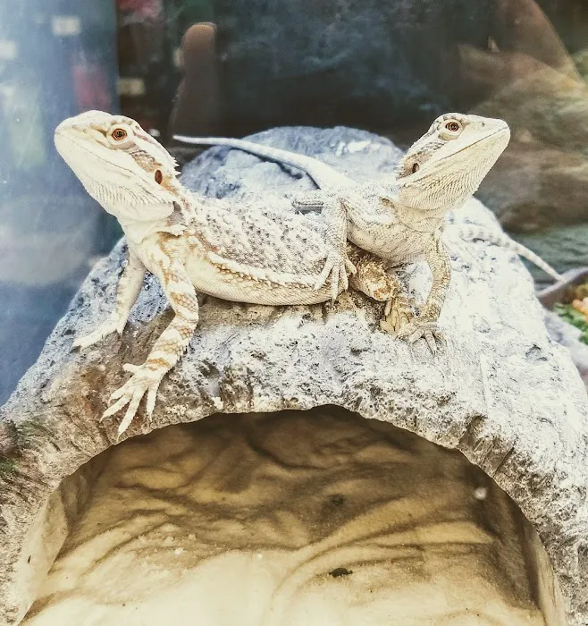 Petco Picture 3