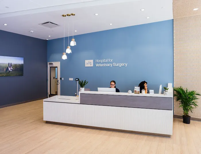 Hospital For Veterinary Surgery Picture 8