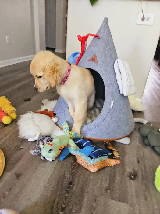 Deckers Dog + Cat Picture 4