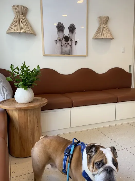 Lincoln Square Veterinary Hospital Picture 5