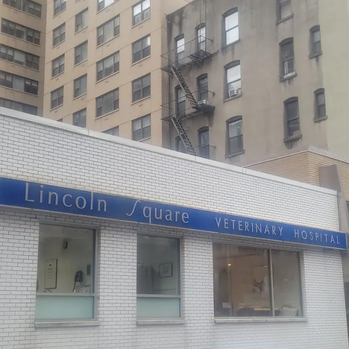 Lincoln Square Veterinary Hospital Picture 7