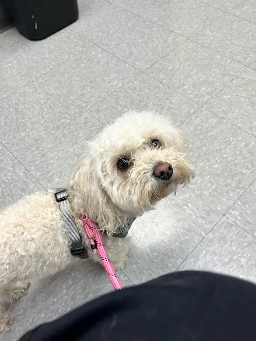 Lincoln Square Veterinary Hospital Picture 6