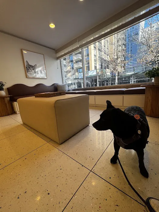 Lincoln Square Veterinary Hospital Picture 8