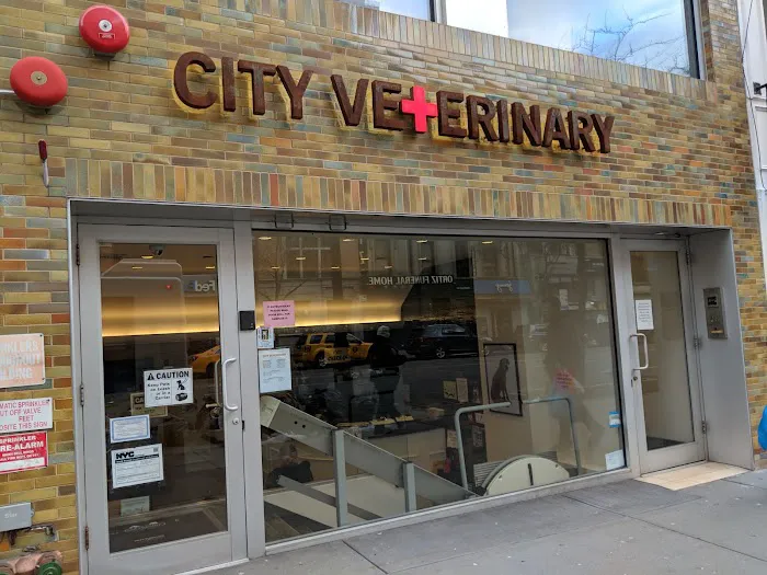 City Veterinary Care Picture 7