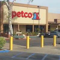 Petco ico