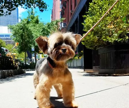 Columbus Circle Veterinary Hospital