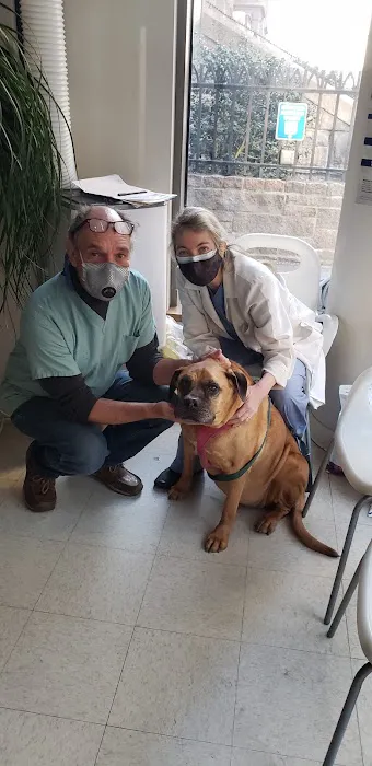 Columbus Circle Veterinary Hospital Picture 8