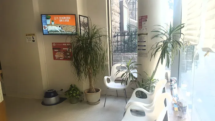 Columbus Circle Veterinary Hospital Picture 3