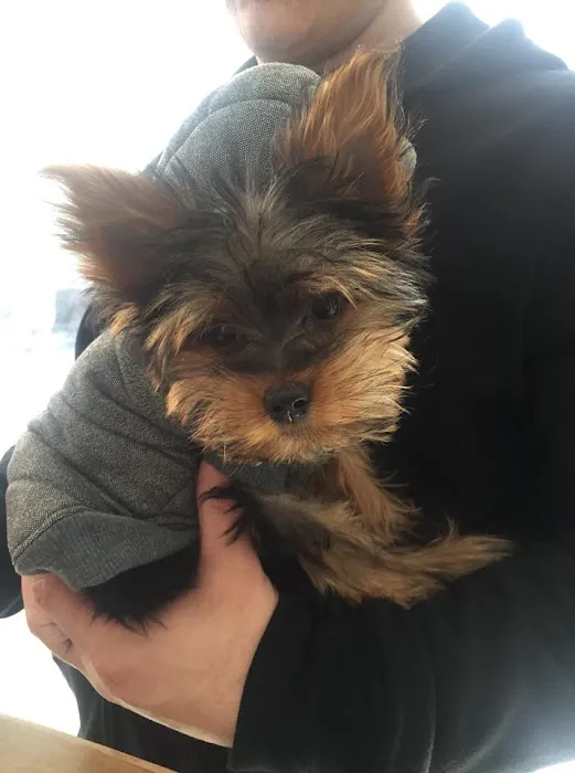 Columbus Circle Veterinary Hospital Picture 5