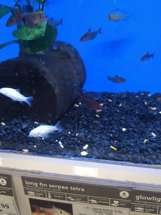 Petco Picture 3