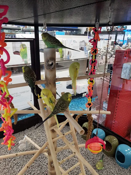 Petco Picture 9
