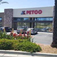 Petco ico