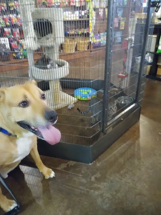 Natural Instincts Healthy Pet Center Picture 5