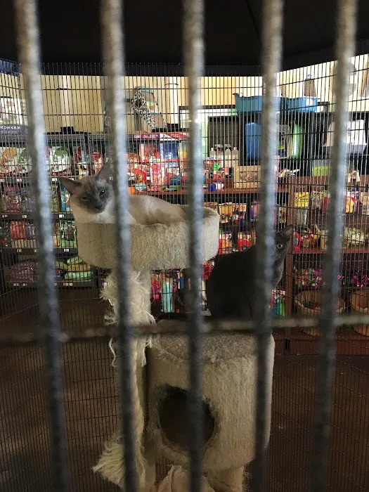 Natural Instincts Healthy Pet Center Picture 2