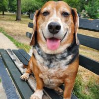 Riverside Veterinary Care on Columbus ico