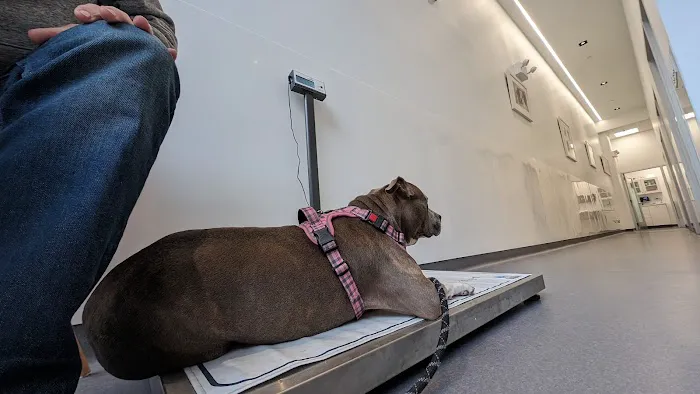 Riverside Veterinary Care on Columbus Picture 4