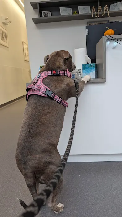 Riverside Veterinary Care on Columbus Picture 7