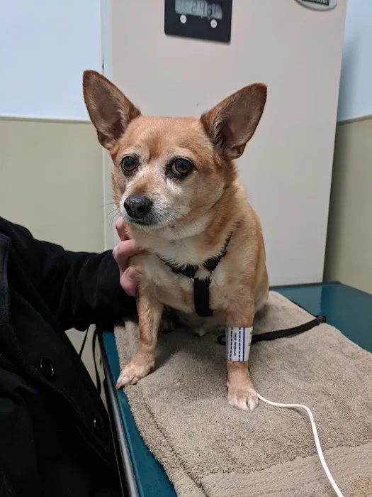 Riverside Veterinary Care on Columbus Picture 8