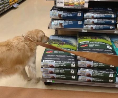 Petco