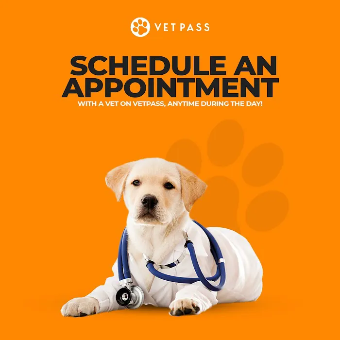 VETPASS Picture 6