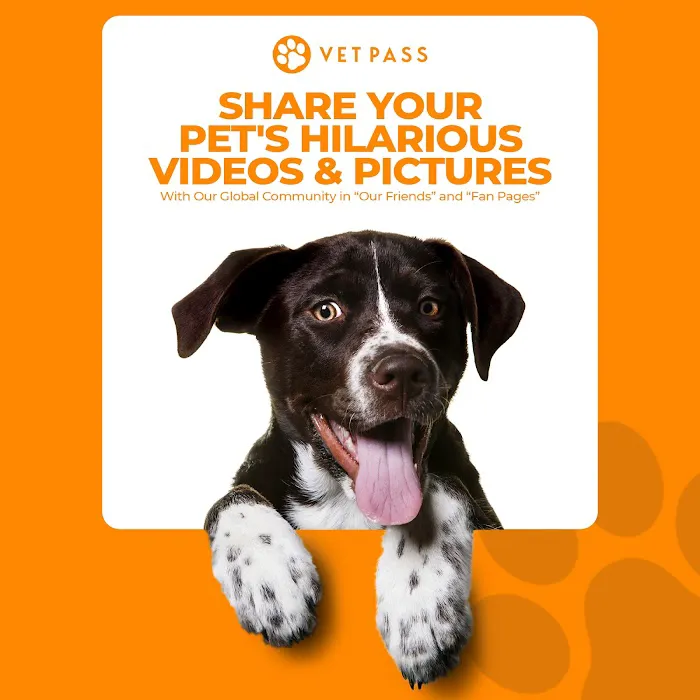 VETPASS Picture 8