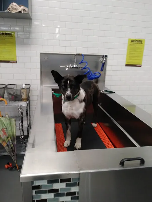 Unleashed by Petco Picture 4