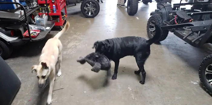Unleashed by Petco Picture 5