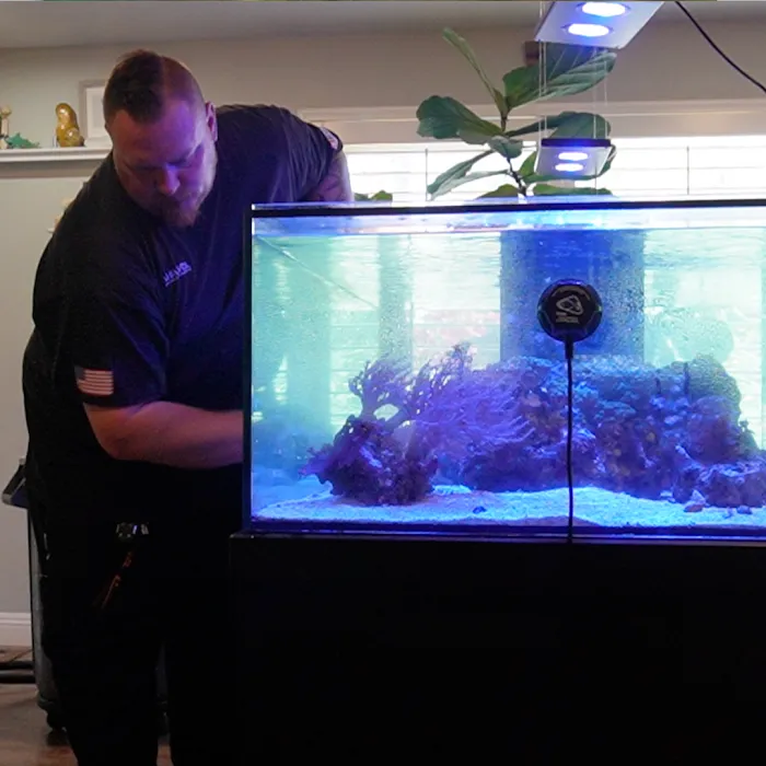 Aquatica Corals and Custom Aquariums Picture 8