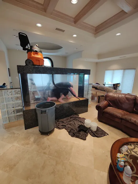 Aquatica Corals and Custom Aquariums Picture 6