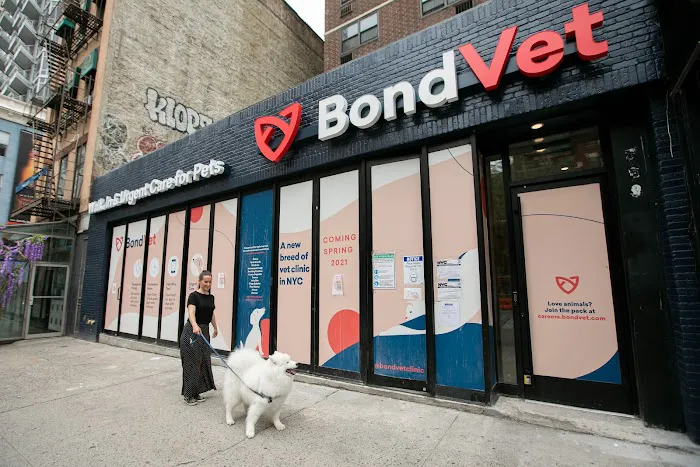 Bond Vet - Kips Bay Picture 1