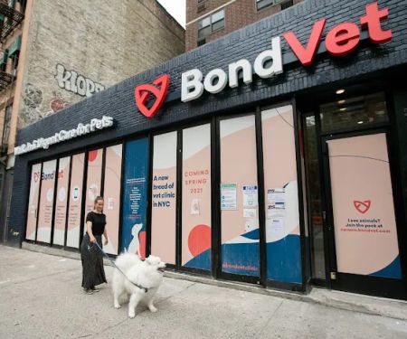 Bond Vet - Kips Bay