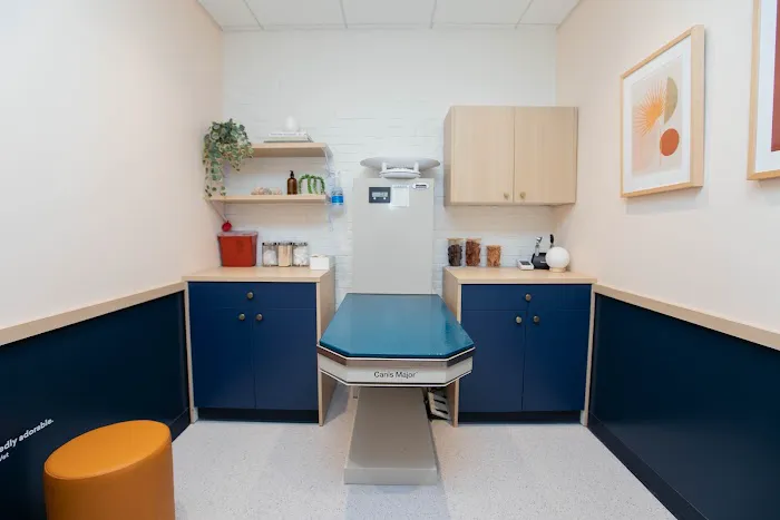 Bond Vet - Kips Bay Picture 6