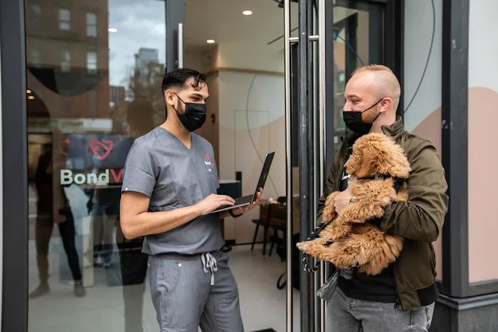 Bond Vet - Kips Bay Picture 2