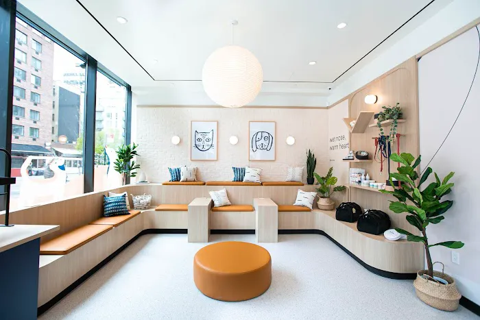 Bond Vet - Kips Bay Picture 10