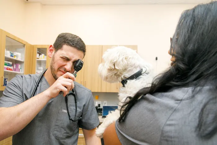 Bond Vet - Kips Bay Picture 9