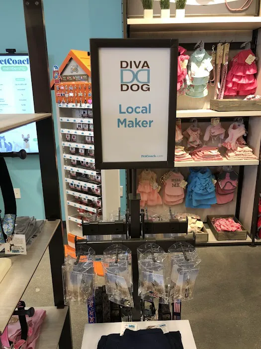 Petco Picture 8