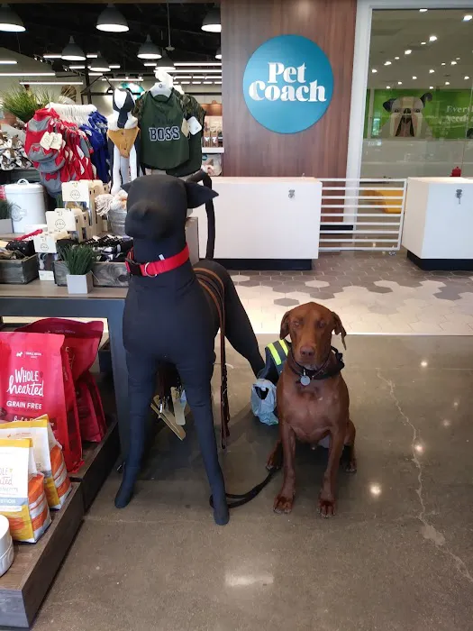Petco Picture 4