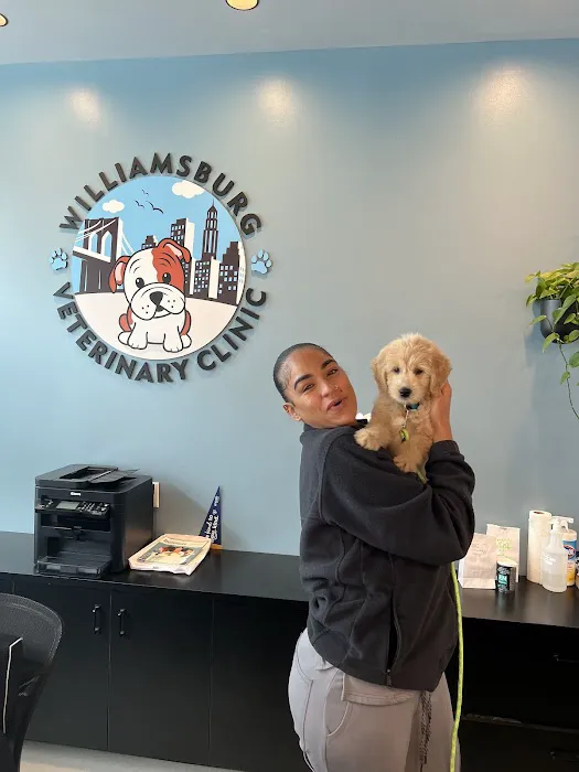 Williamsburg Veterinary Clinic Picture 3