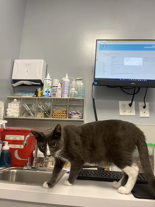 Williamsburg Veterinary Clinic Picture 1