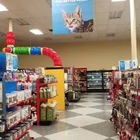 Petco ico