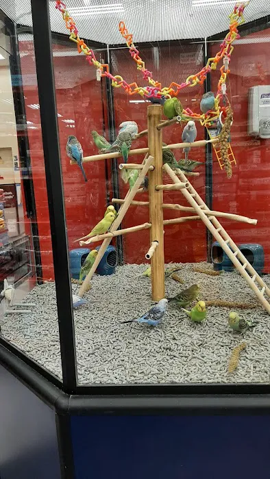 Petco Picture 6