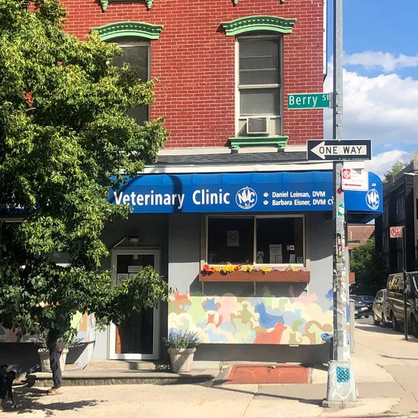 Northside Veterinary Clinic Picture 5