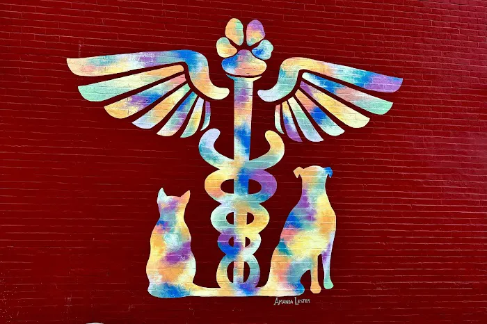 Northside Veterinary Clinic Picture 9