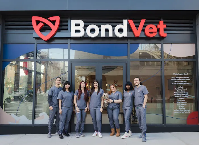 Bond Vet - Williamsburg Picture 4
