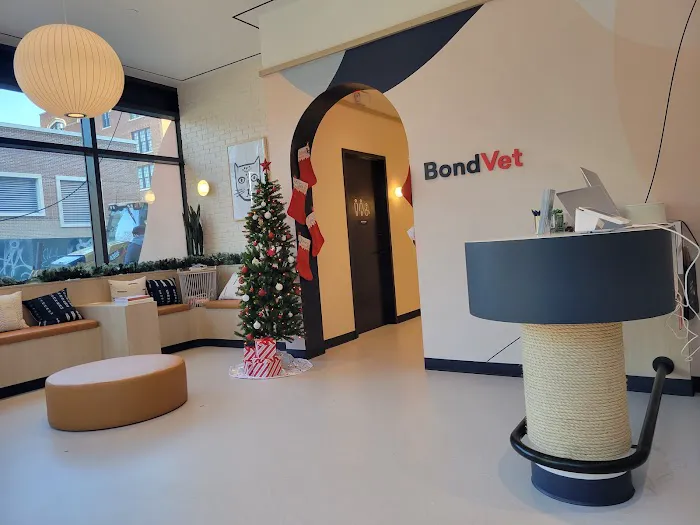 Bond Vet - Williamsburg Picture 10
