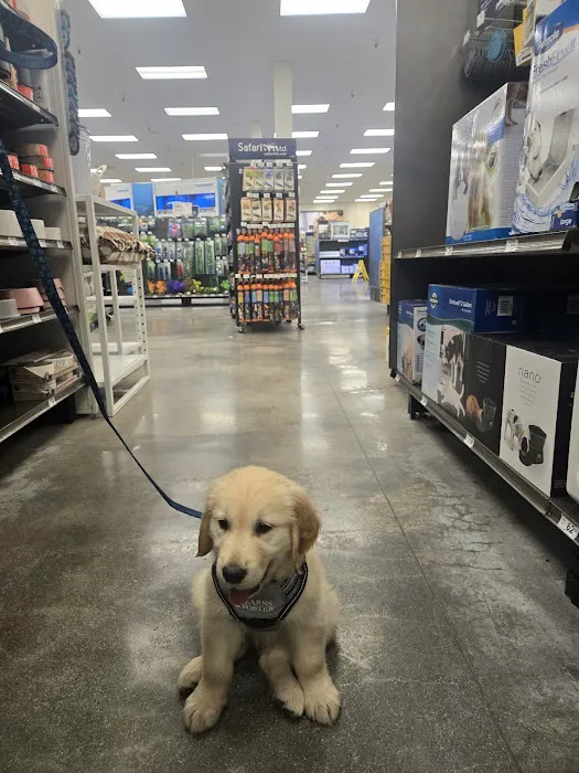 Petco Picture 4